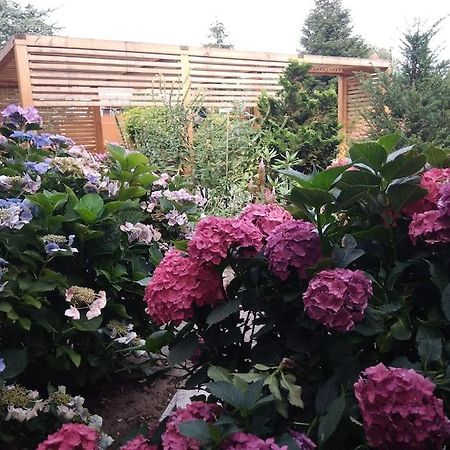 Ferienwohnung Nahe Der Ostsee Steinhagen  エクステリア 写真
