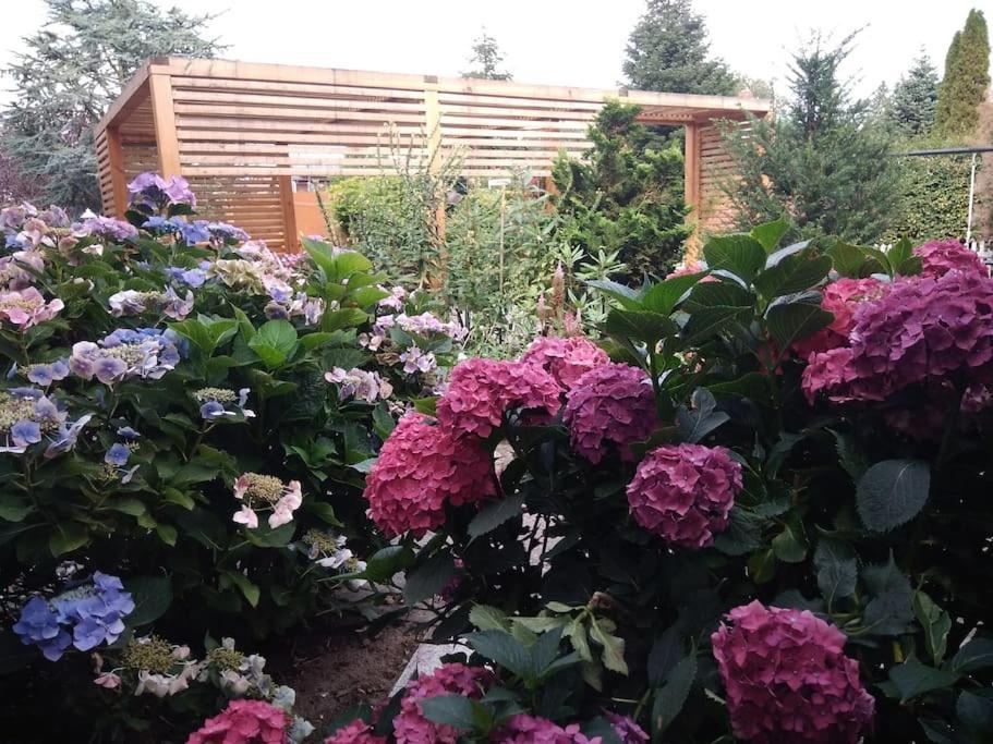 Ferienwohnung Nahe Der Ostsee Steinhagen  エクステリア 写真