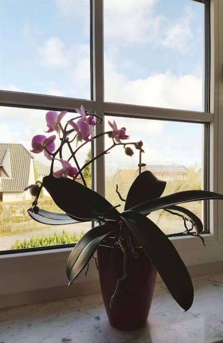 Ferienwohnung Nahe Der Ostsee Steinhagen  エクステリア 写真